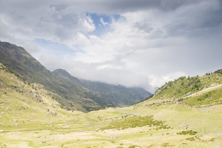 春山风景