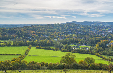 英国农村的秋天的颜色图片