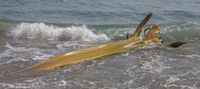 加勒比海滩上的木制漂浮物