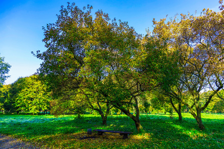 秋天公园与板凳在树之下