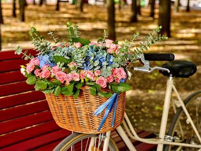 自行车篮里的西红柿在公园里的彩色花篮的自行车照片