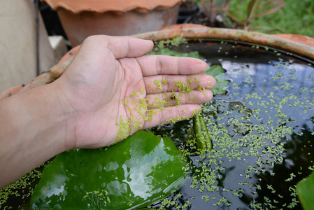 人类手上的水花棒