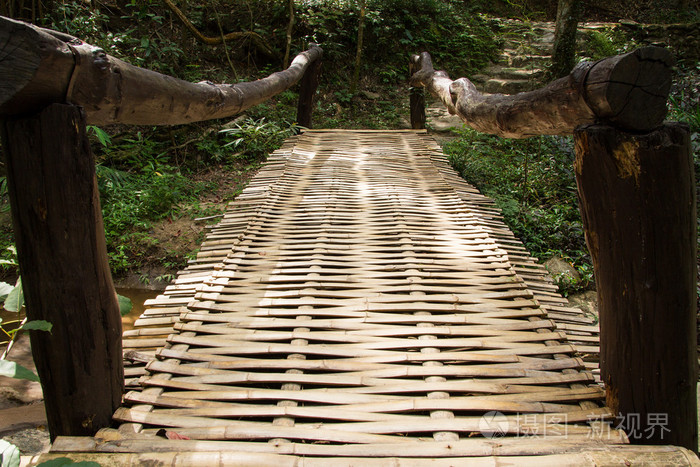 森林里用竹子做的桥