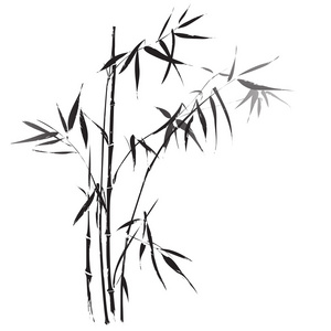 竹枝黑色轮廓照片