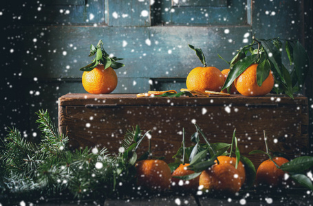 橘子 柑橘 在圣诞节装饰