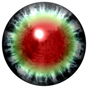 孤立开放的绿色眼睛，有的视网膜。动物眼