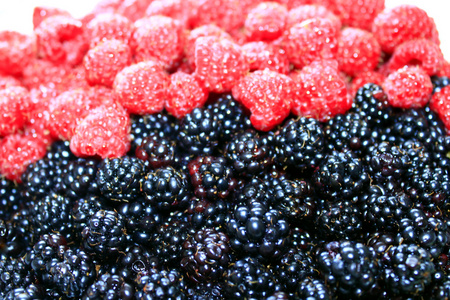 黑莓和树莓