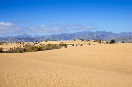 马斯帕洛马斯的沙丘