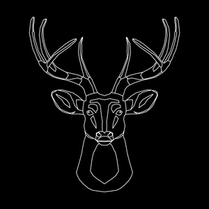 黑色背景线鹿照片