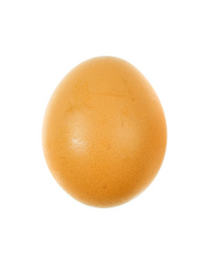 在白色背景上的褐色鸡蛋