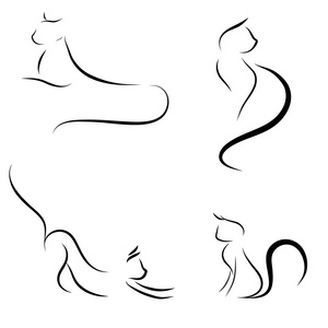 在白色背景上的猫抽象线条照片