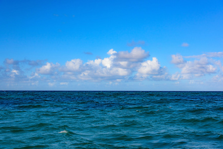 荒凉的海滩海