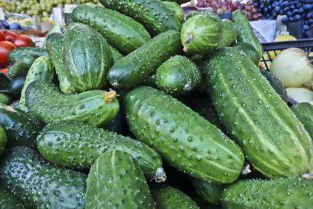 绿色黄瓜躺在蔬菜市场的柜台上