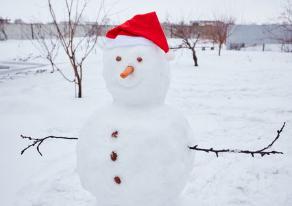 真正雪人在户外