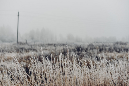 地区，俄罗斯莫斯科11 月 7 日 2015 年 11 月 7 日，莫斯科地区京郊早上有雾的天气