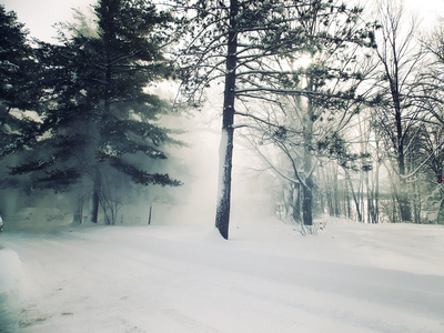 尼州奥尔巴尼附近的雪灾