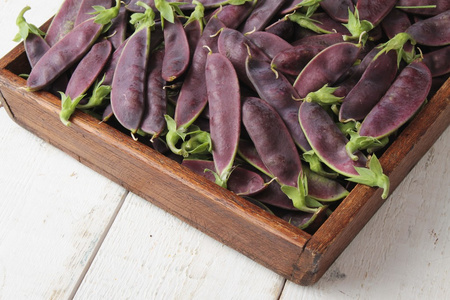 快照夏季新鲜的紫色嫩豌豆照片