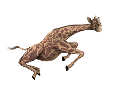 绘图的长颈鹿