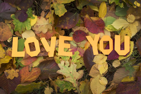 爱你在秋天的落叶上题字