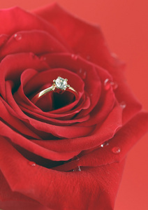 红色玫瑰花带与一颗钻石的金戒指照片