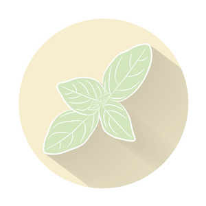 芳香的罗勒图片