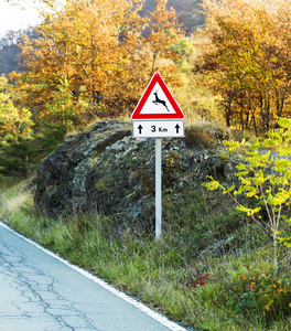 关于野生动物在秋天环境道路危险标志