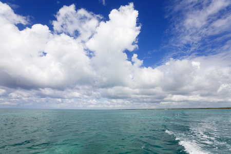 清澈的水蓝色的大海照片