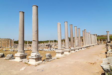 在老建筑专栏和罗马寺庙图片