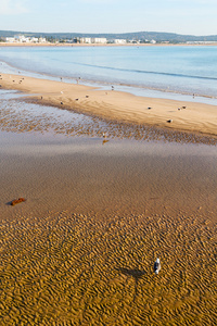 抽象在摩洛哥海浪和鸟