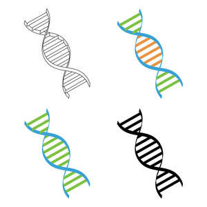 Dna 矢量集