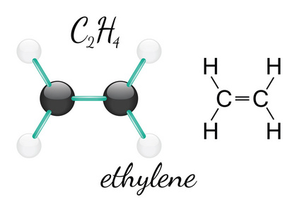 C2h4 乙烯分子