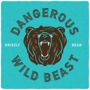 危险的野兽。 灰熊