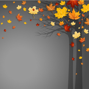 堕落的秋天的树叶