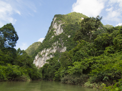 热带雨林和河在泰国素叻府的背景