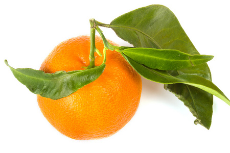在白色的橘水果
