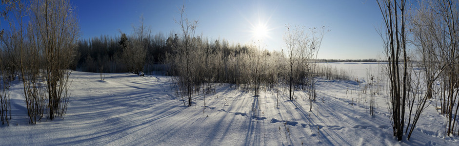 雪中的脚印通向森林。全景