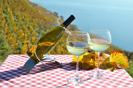葡萄酒对日内瓦湖