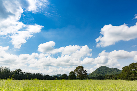 绿色的田野 天空和山背景清晰