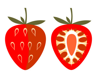 矢量水果插画。整个详细的草莓，图标和一半，孤立在白色的背景
