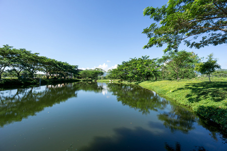 湖泊和森林