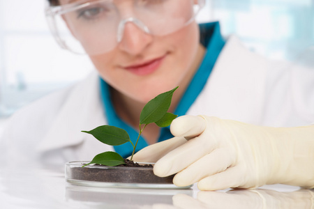 女人与植物的生物学家