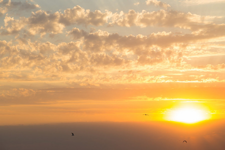 在海滩上美丽的夕阳