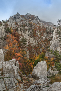 tasnei 峡谷罗马尼亚