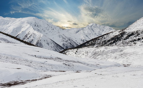 美丽的冬天景观，阿尔泰山俄罗斯