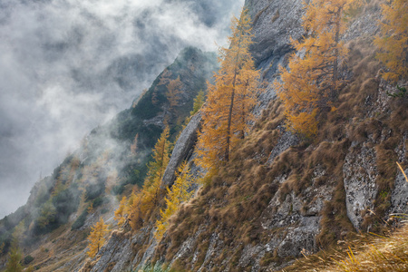 左支山山谷