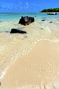 海滩桩杜塞夫海藻印度船天空和岩石