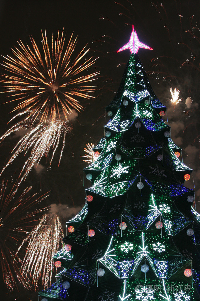 圣诞节在树后面的烟花