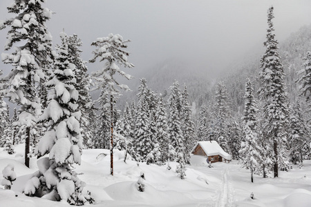 在白雪皑皑的丛林小屋