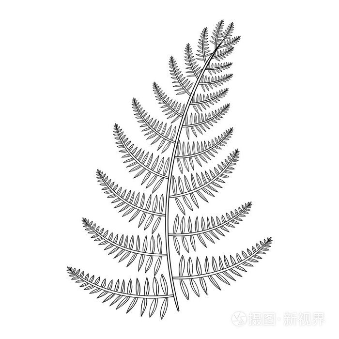 或插画-正版商用图片1kqzav-摄图新视界