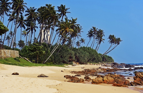 海洋海滩斯里兰卡